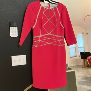 Antonio Melani Pink and Nude MIDI Dress